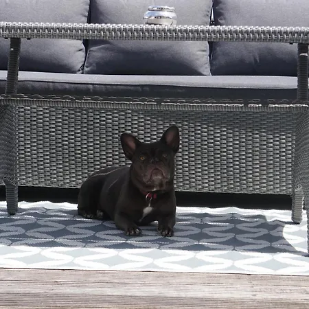 Spacious Penthouse With Ac And Free Parking Steps Away From The Station