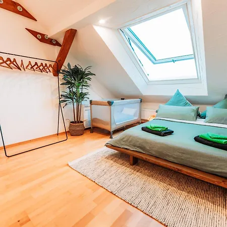Spacious Penthouse With Ac And Free Parking Steps Away From The Station * Koblenz (Rhineland-Palatinate)