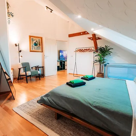 Spacious Penthouse With Ac And Free Parking Steps Away From The Station Coblenza